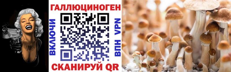 Псилоцибиновые грибы Psilocybine cubensis  продажа наркотиков  Сортавала 